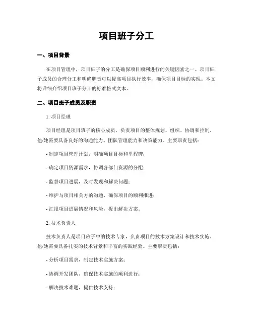 项目班子分工
