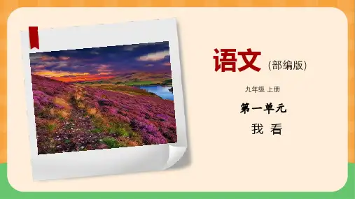 全国优质课大赛一等奖部编版初中语文九年级上册大单元教学《我看》精美课件