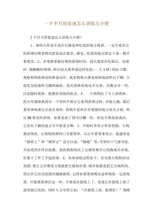 一个半月的泰迪怎么训练大小便