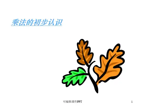 乘法的初步认识-复习ppt课件