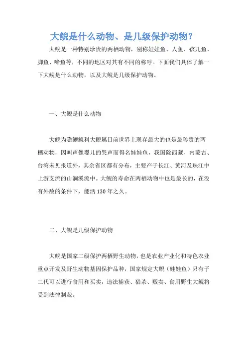 大鲵是什么动物、是几级保护动物？
