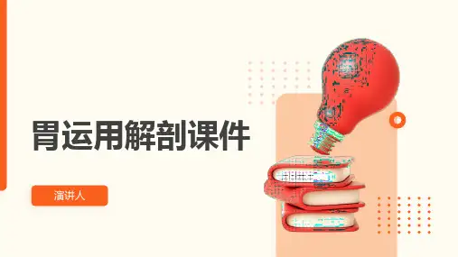 胃运用解剖课件