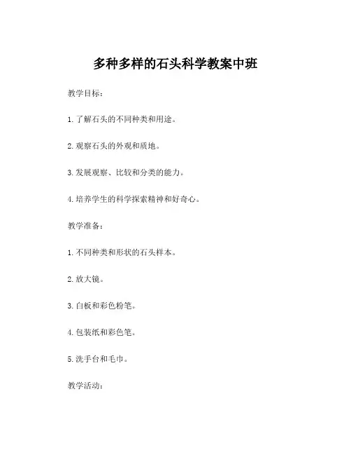 多种多样的石头科学教案中班