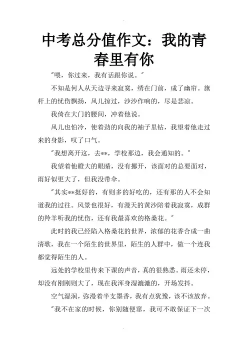 中考满分作文：我的青春里有你