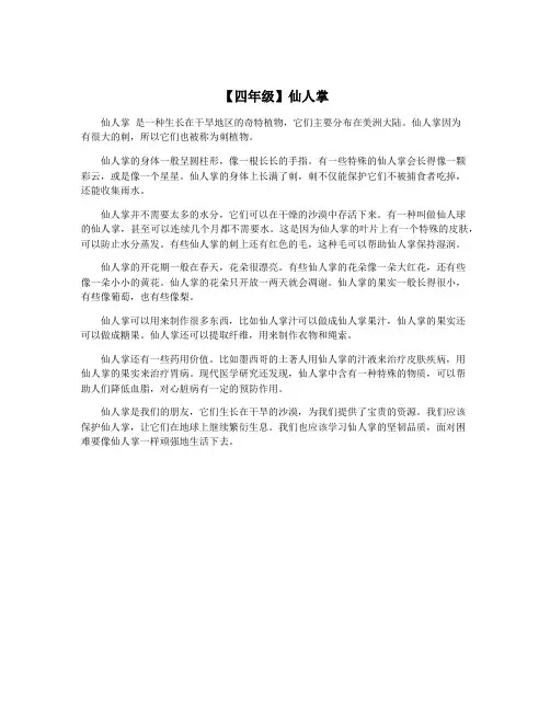 【四年级】仙人掌