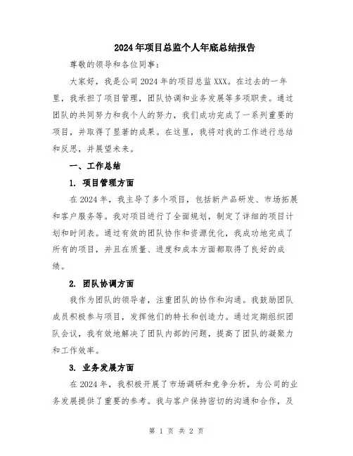 2024年项目总监个人年底总结报告