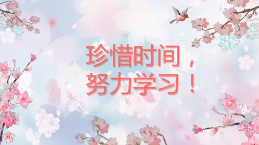 珍惜时间,努力学习 高中主题班会 课件(共19张PPT)