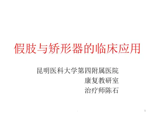 假肢概述与截肢PPT课件