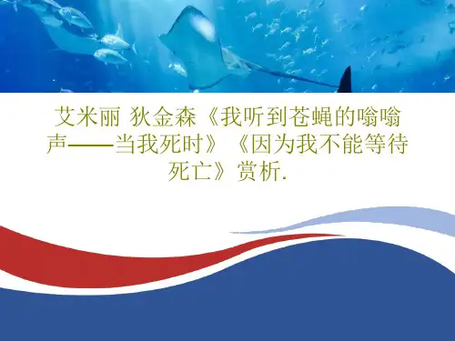 艾米丽·狄金森《我听到苍蝇的嗡嗡声——当我死时》《因为我不能等待死亡》赏析.18页PPT