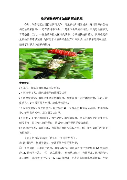 桑葚菌核病更多知识讲解在这里