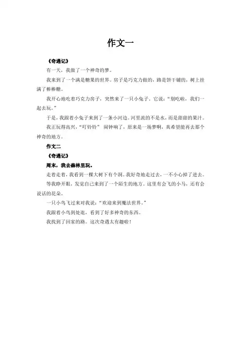 奇遇记作文300字三年级