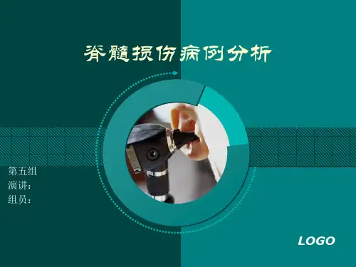 脊髓损伤病例分析1.26