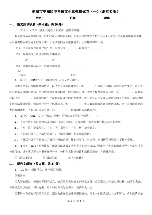盐城市亭湖区中考语文全真模拟试卷(一)(浙江专版)
