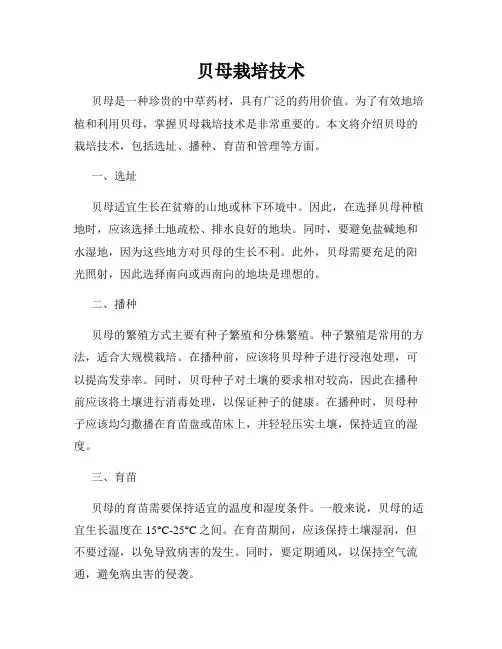 贝母栽培技术