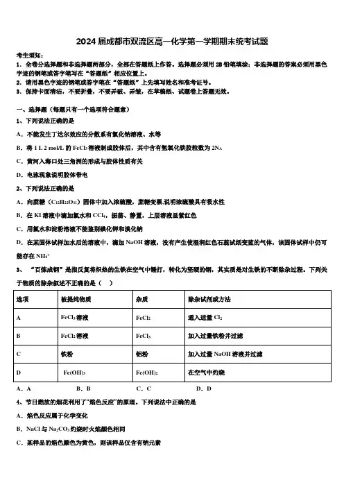 2024届成都市双流区高一化学第一学期期末统考试题含解析