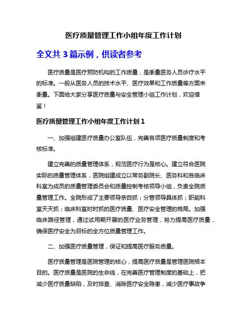 医疗质量管理工作小组年度工作计划