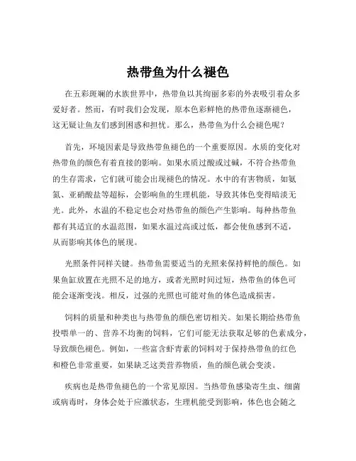 热带鱼为什么褪色