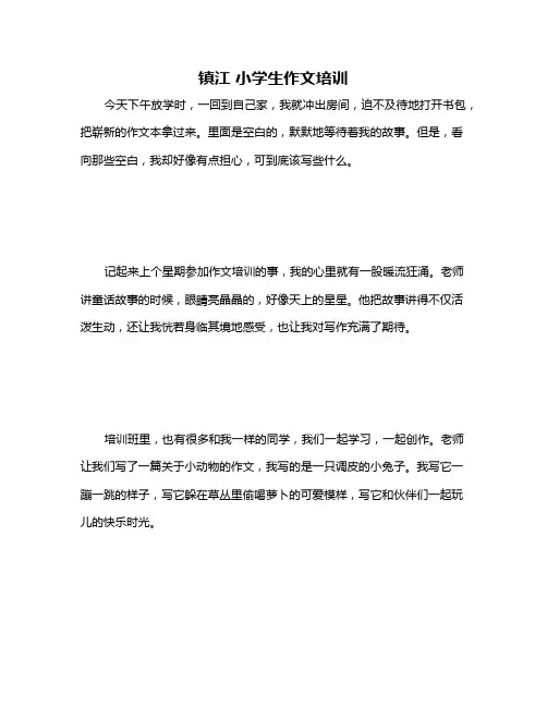 镇江 小学生作文培训