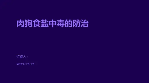 肉狗食盐中毒的防治