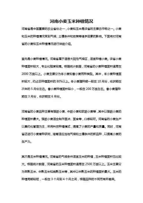 河南小麦玉米种植情况