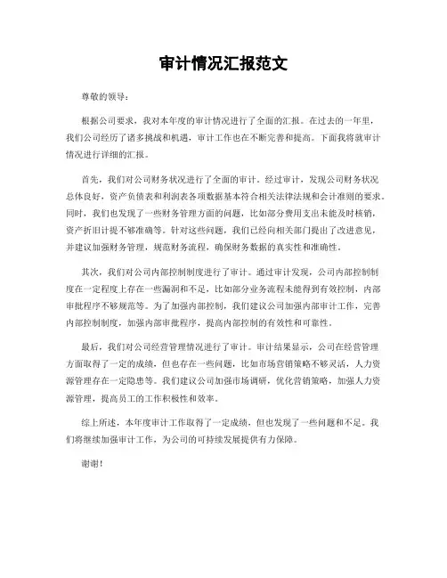 审计情况汇报范文