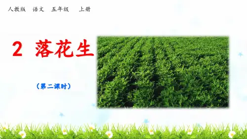 《落花生》教学课件2(第二课时)