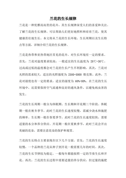 兰花的生长规律