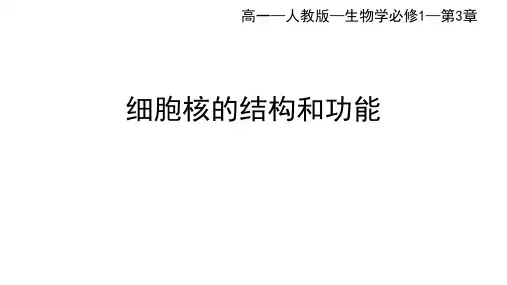 人教版高中生物必修第1册 第3章 第3节 细胞核的结构和功能