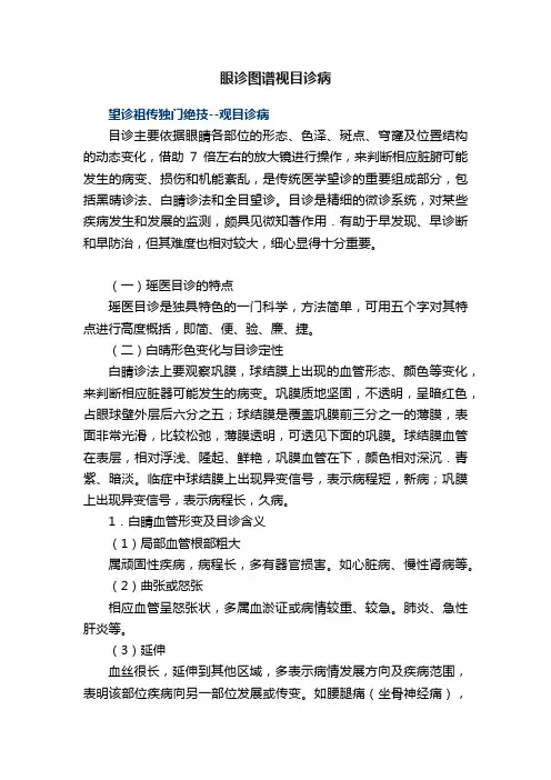 眼诊图谱视目诊病