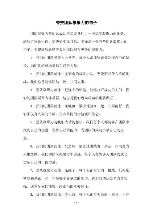 夸赞团队凝聚力的句子