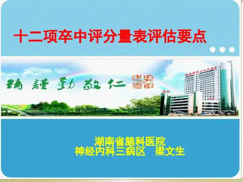 十二项卒中评分量表评估要点