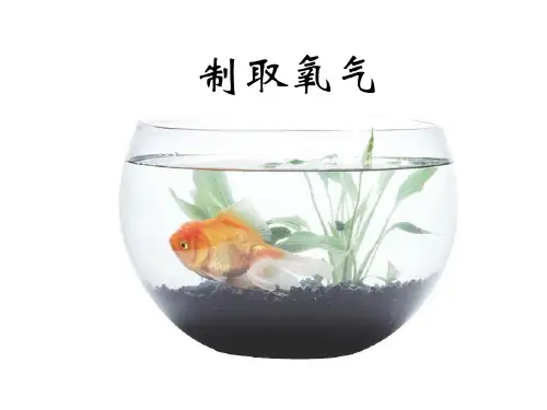 3.2制取氧气教学课件2