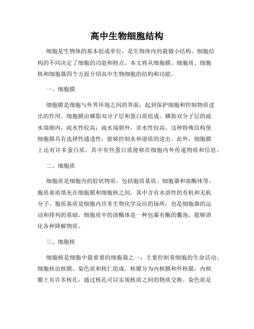 高中生物细胞结构