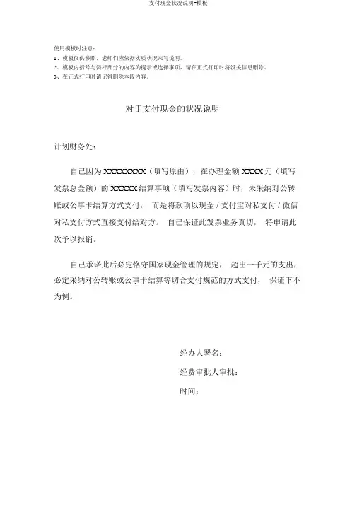 支付现金情况说明-模板