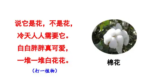统编版一年级语文下册19棉花姑娘课件(共27张PPT)