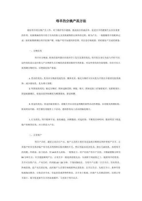 母羊的分娩产羔方法