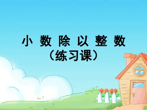 除数是整数的小数除法(练习课)