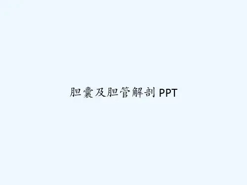 胆囊及胆管解剖 PPT
