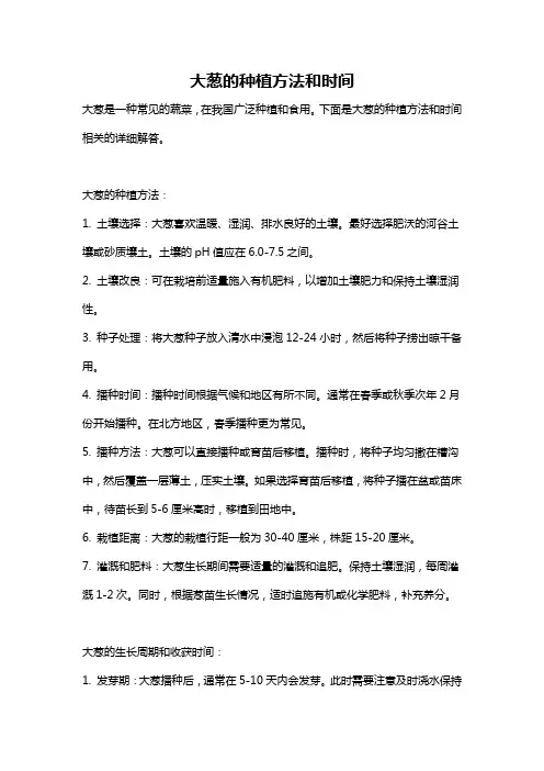 大葱的种植方法和时间