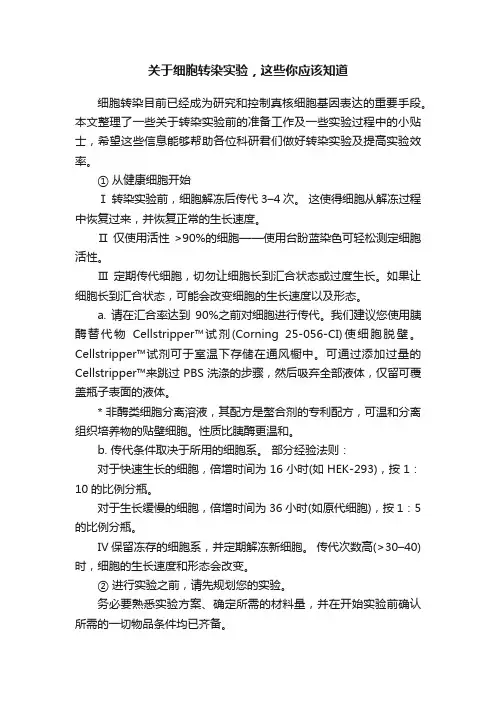 关于细胞转染实验，这些你应该知道