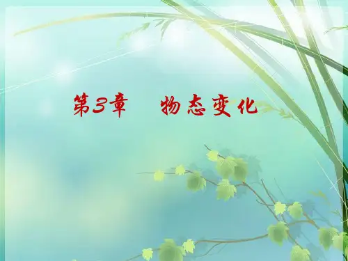 初中物理-物态变化-PPT课件-图文