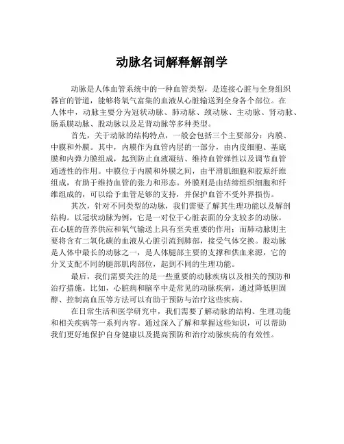 动脉名词解释解剖学