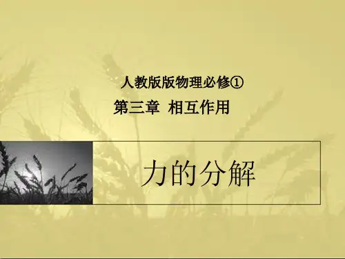 人教版高一物理必修一-_力的分解