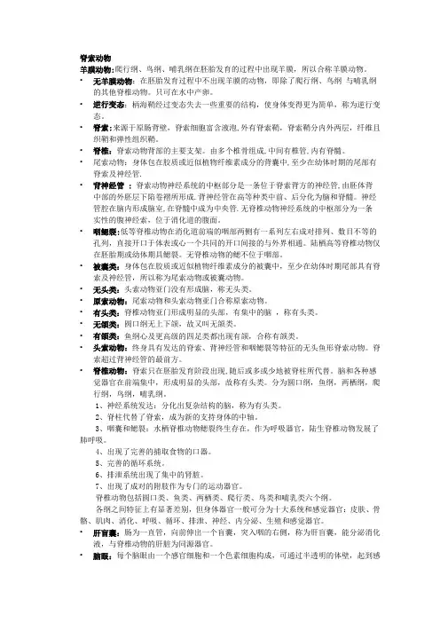 脊索动物-名词解释
