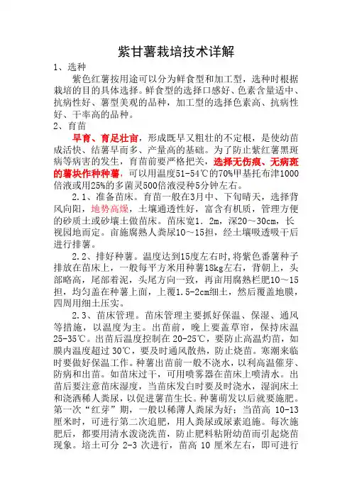 紫薯的栽培技术详细文件