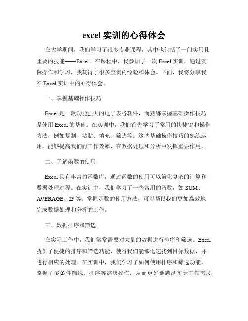 excel实训的心得体会