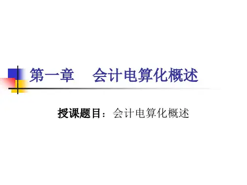 精品PPT会计电算化课件
