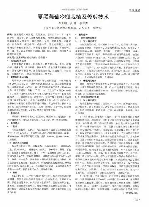 夏黑葡萄冷棚栽植及修剪技术