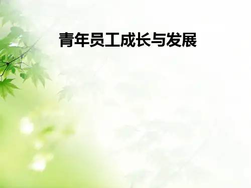 青年员工成长与发展(ppt38张)