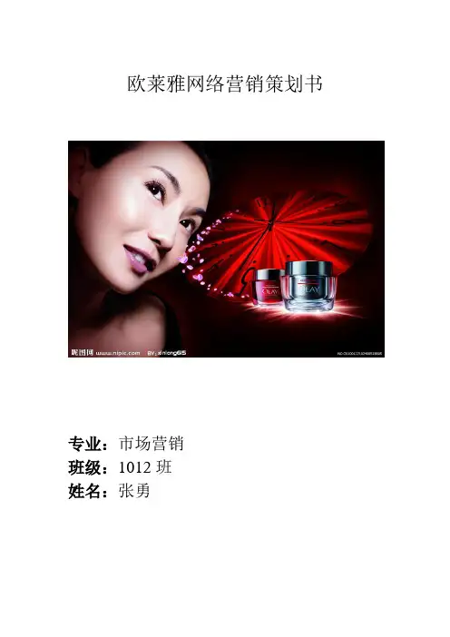 欧莱雅网络营销策划书